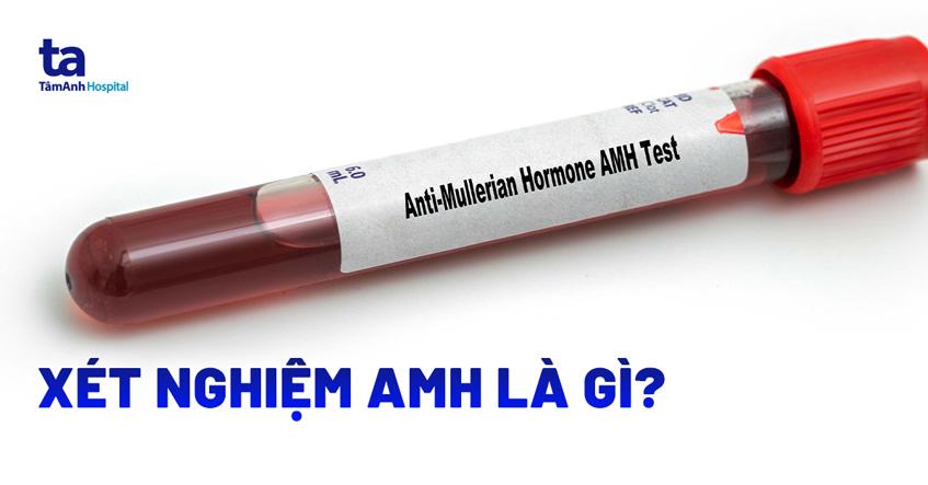 Xét nghiệm AMH: Chỉ số bao nhiêu là bình thường – cao – thấp?