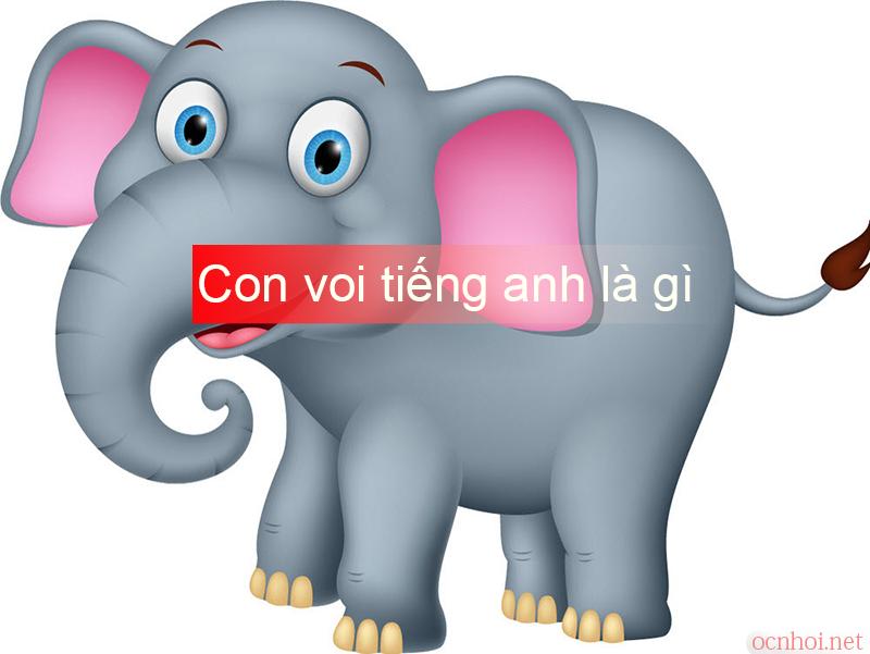 Con voi tiếng Anh là gì: Định nghĩa, ví dụ Anh Việt