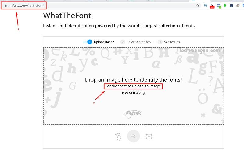 Cách tìm FONT bằng hình ảnh Online hiệu quả